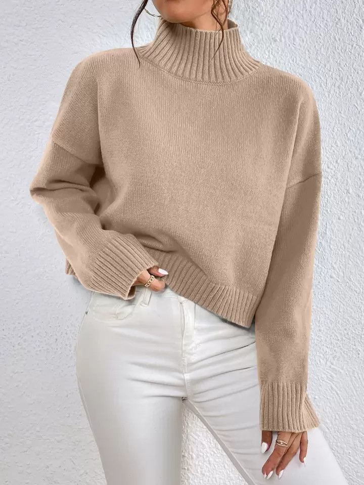 SHEIN LUNE High Neck Drop Shoulder Sweater | SHEIN
