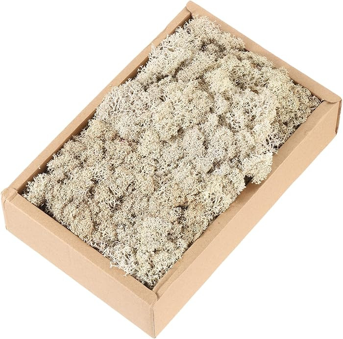 MECCANIXITY 7.8oz Preserved Reindeer Moss, Brown Decorative Artificial Fake Moss for Potted Plant... | Amazon (CA)