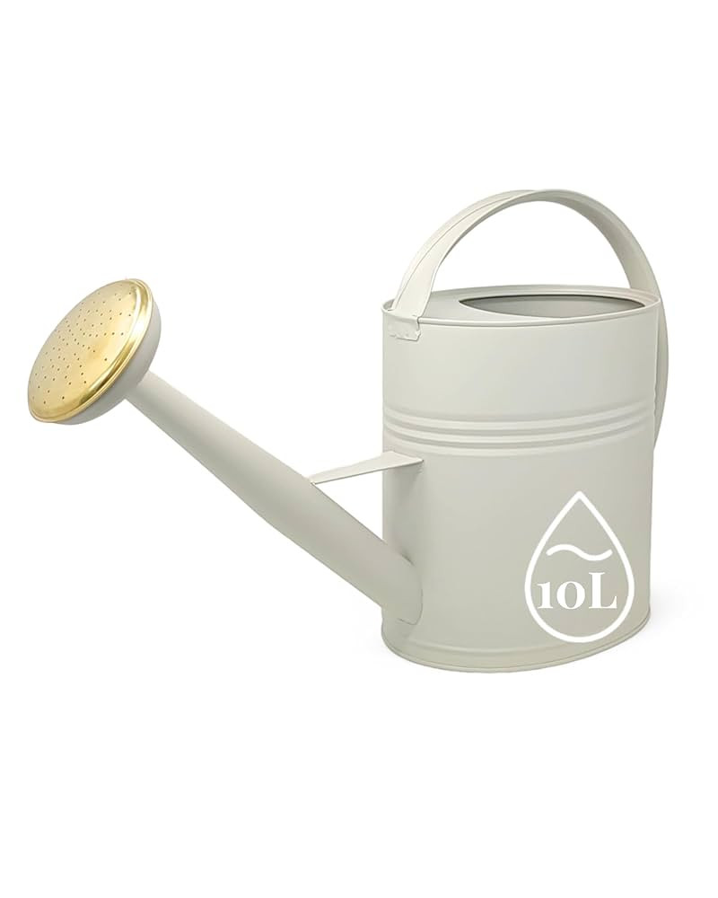 LIVLIG Metal Watering Can 2+ Gallon with Removable Spray Head,Hot-Dip Galvanized Steel Water Can ... | Amazon (US)