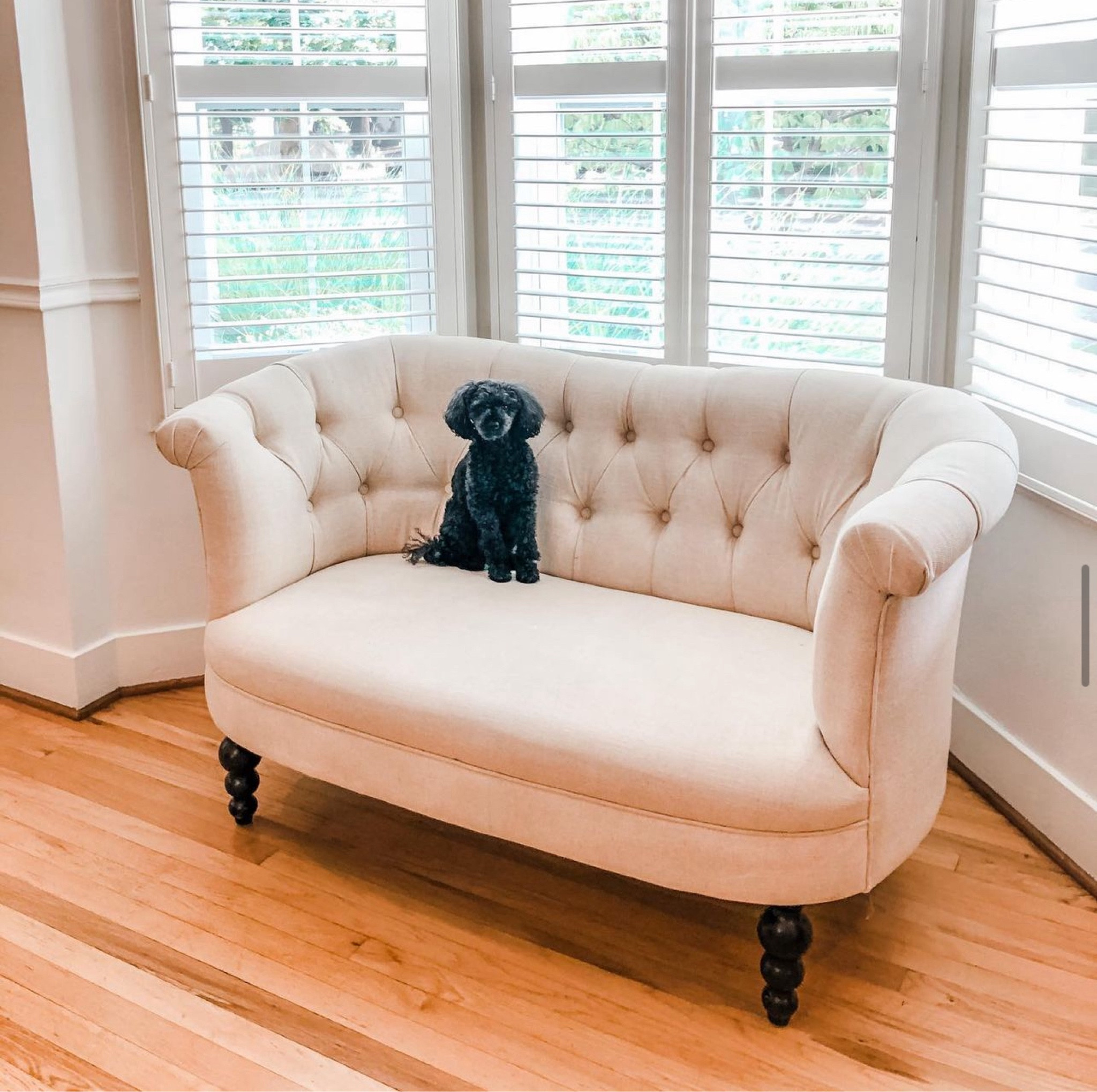 Keep it simple! 🐾

#LTKfamily #LTKhome #LTKover40