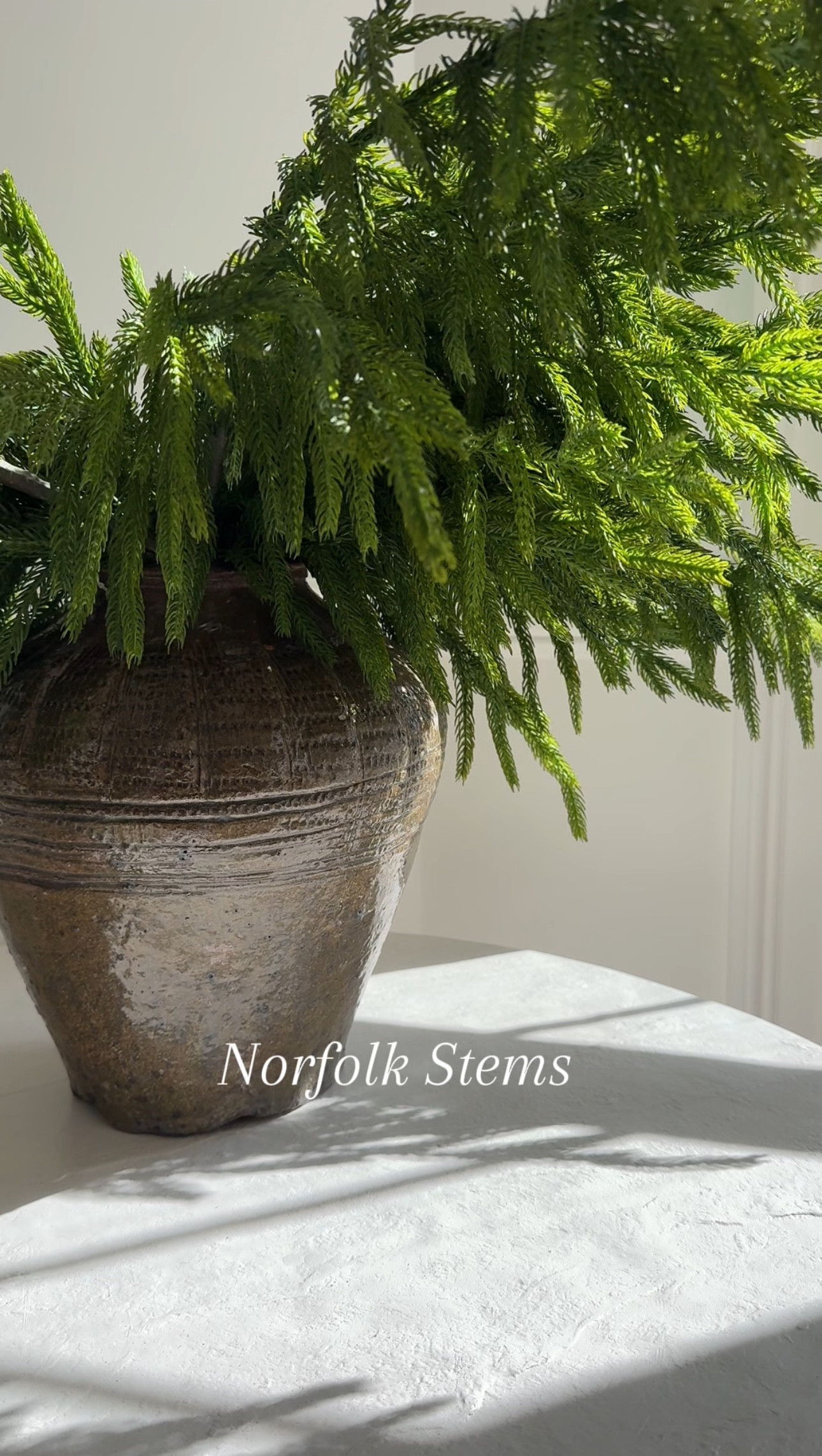 Amazon holiday finds



#LTKHome #LTKSeasonal #LTKHoliday