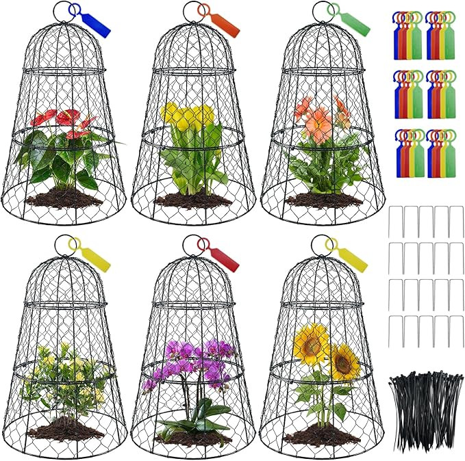 6 PCS 17.7"H X11.42"D Chicken Wire Plant Covers Protectors, Rustproof Heavy Duty Metal Plant Cage... | Amazon (US)