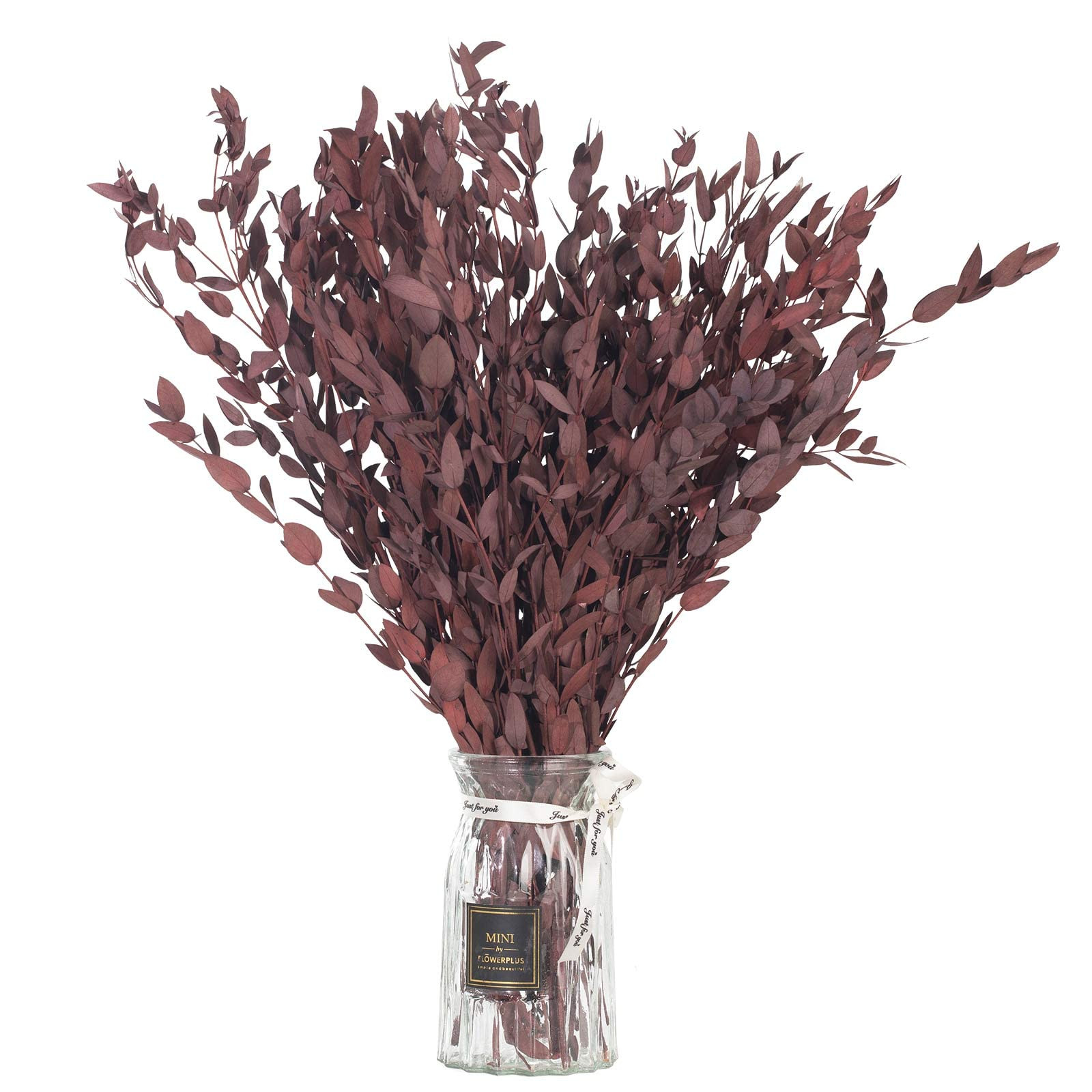 Dried Eucalyptus Leaves Preserved Greenery Stems, 8-14 PCS Eucalyptus Garland Branches, 4 OZ Red ... | Amazon (US)
