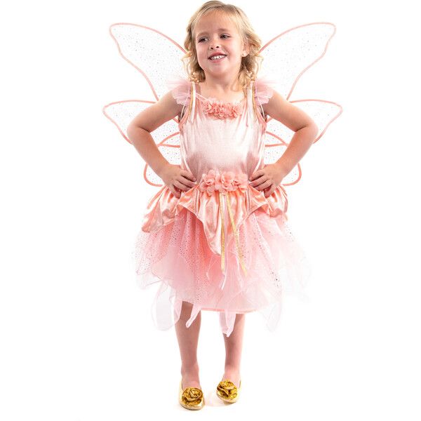 Rose Garden Fairy Dress W/O Wings | Maisonette