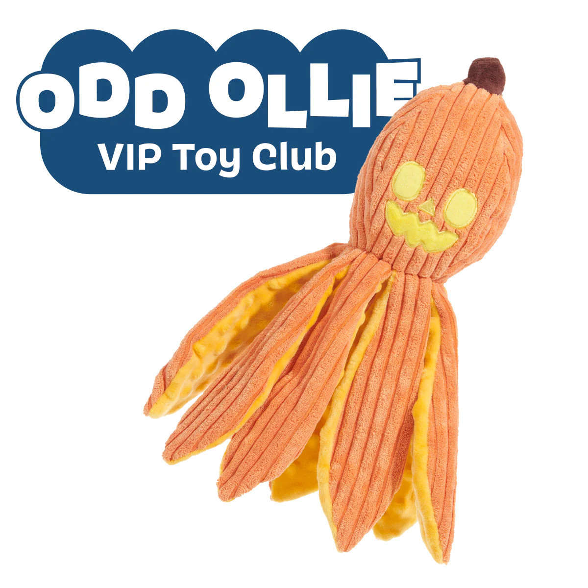 Jack-Ollie Lantern | BARK
