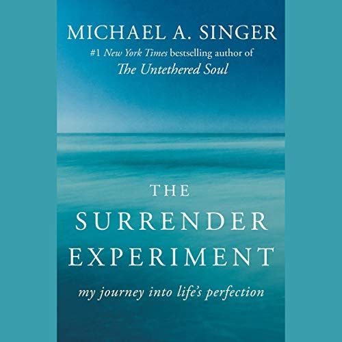 The Surrender Experiment: My Journey into Life's Perfection | Amazon (US)