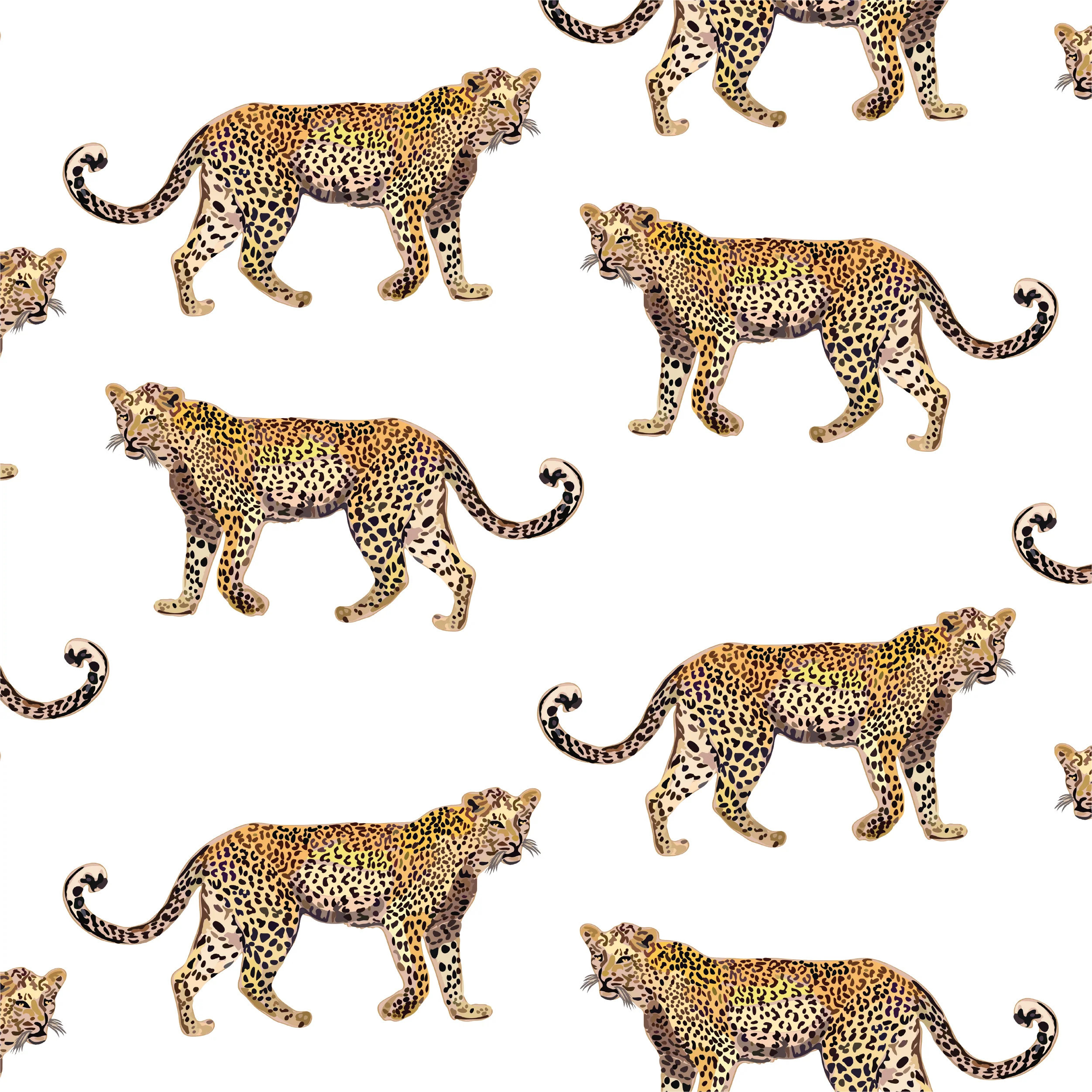 Cheetahs Traditional Wallpaper | Colorful Prints, Wallpaper, Pajamas, Home Decor, & More | Katie Kime Inc