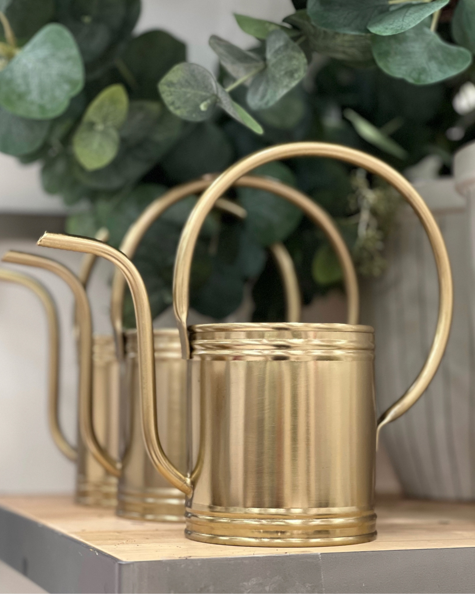 Cutest watering can for your herb garden😍

#LTKhome #LTKunder50