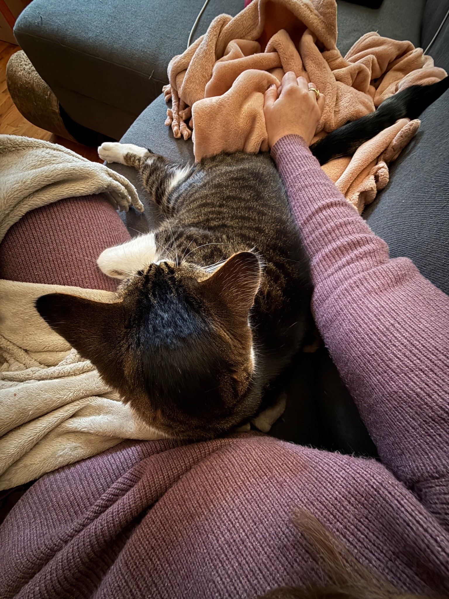 I need to get ready to go, but I can’t miss this 🥹

#LTKdayinmylife