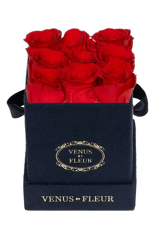 Venus ET Fleur Classic Le Mini™ Square Eternity Roses in Red at Nordstrom | Nordstrom