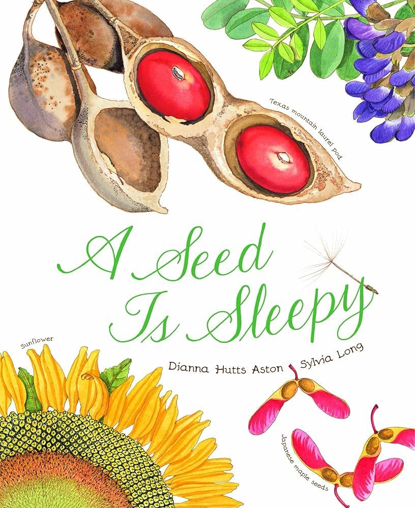 A Seed Is Sleepy: (Nature Books for Kids, Environmental Science for Kids) (Sylvia Long) | Amazon (US)