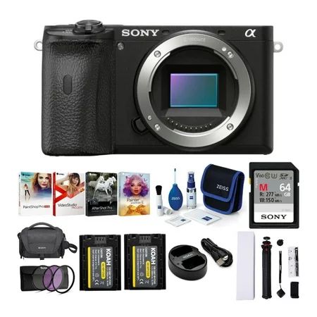 Sony Alpha a6600 APS-C Mirrorless Camera (Body Only) with Accessories Bundle | Walmart (US)