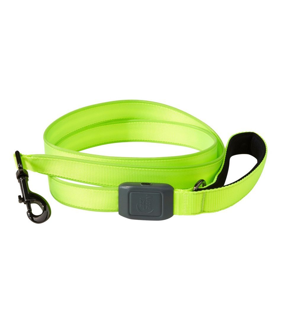NiteDog® Rechargeable LED Dog Leash | L.L. Bean