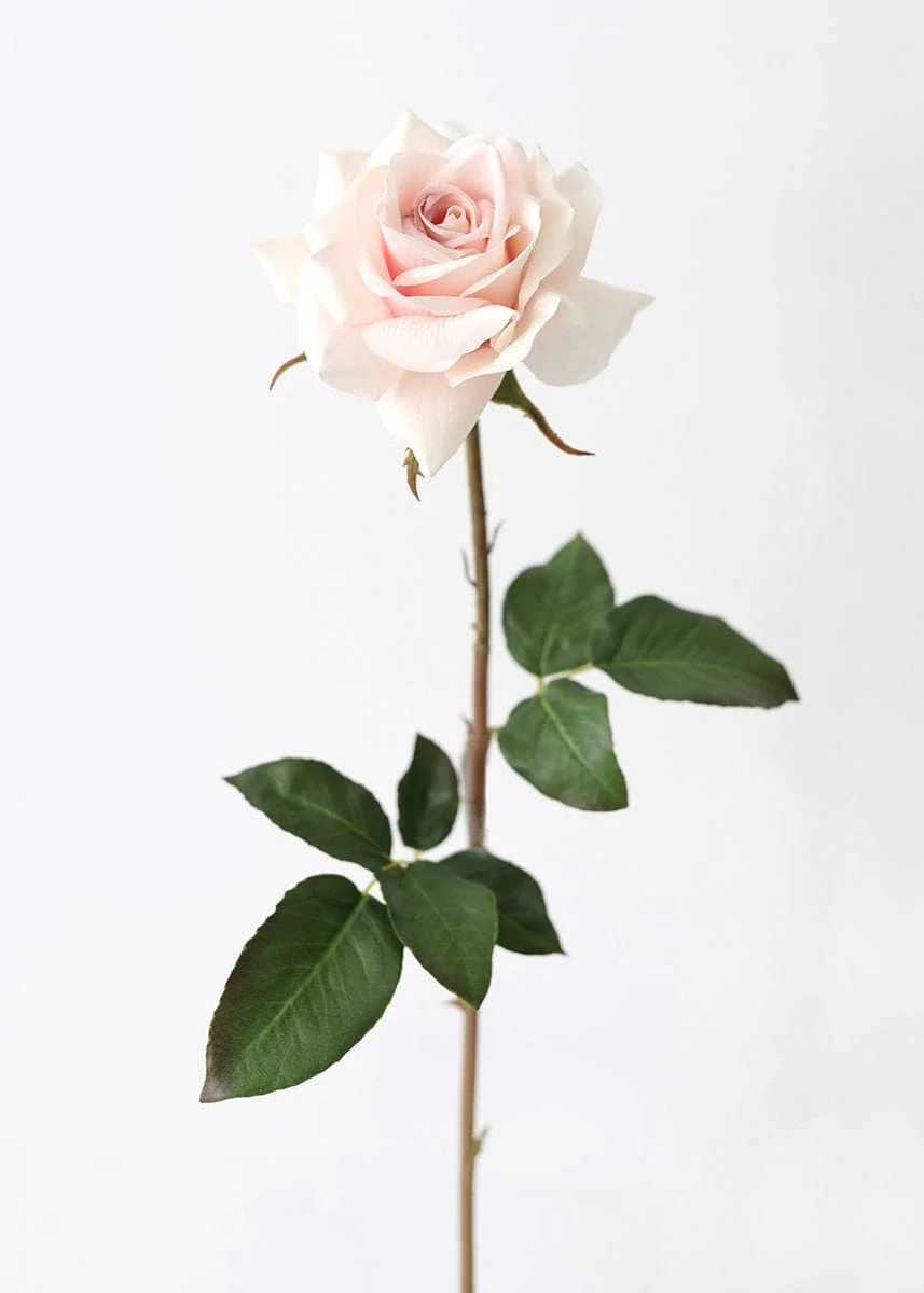 Real Touch Roses | Fake Pink Dutchess Rose | Afloral.com | Afloral