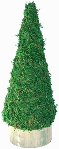 Amazon.com: Christmas Tree Cone Green Moss Topiary Form - Small : Home & Kitchen | Amazon (US)