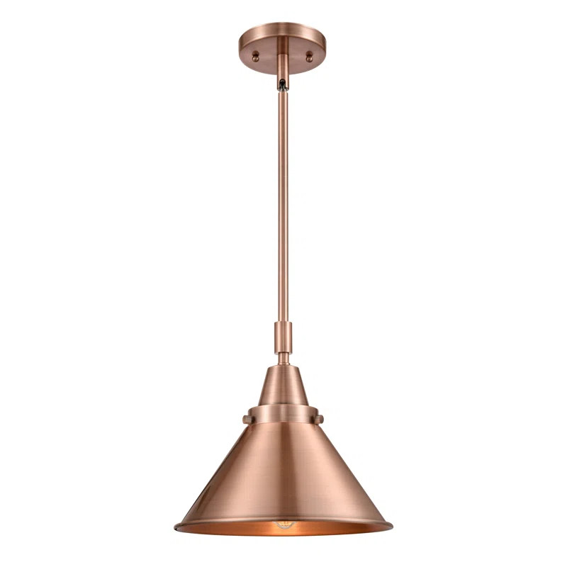 Cambarville 1 - Light Single Pendant | Wayfair North America