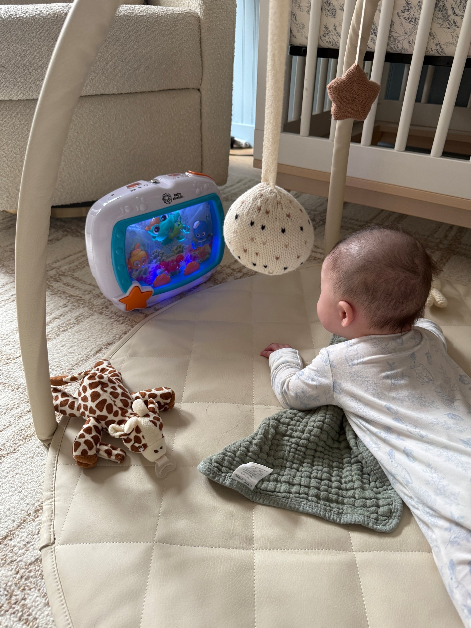 Favorite toy right now and we love this play gym. It’s easy to clean!

#LTKBaby #LTKKids