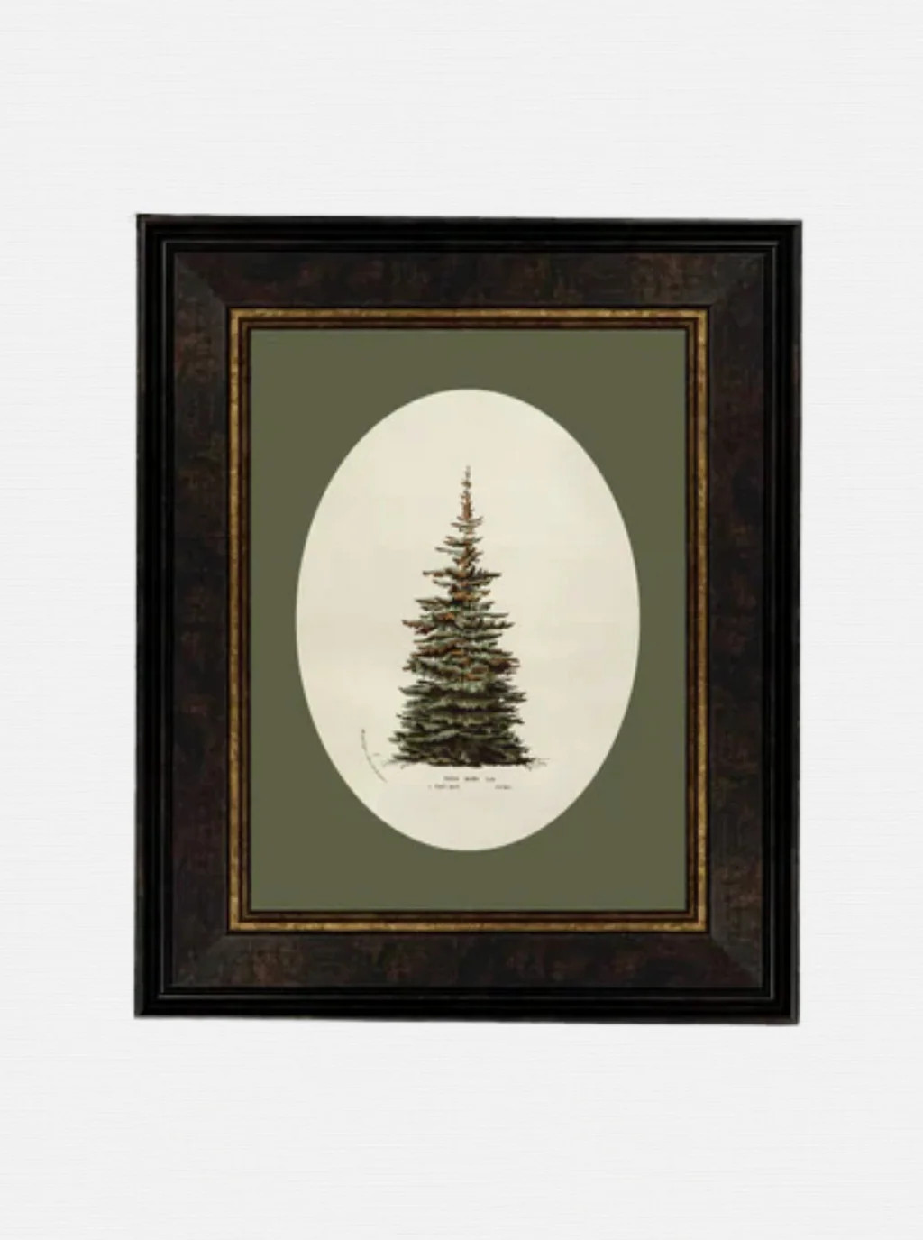 Oval Matte Tree | House of Jade Home