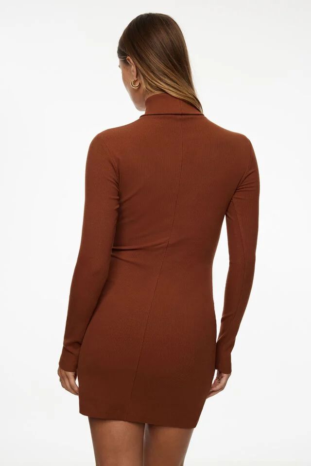 Isabella Turtleneck Mini Dress | Dynamite Clothing