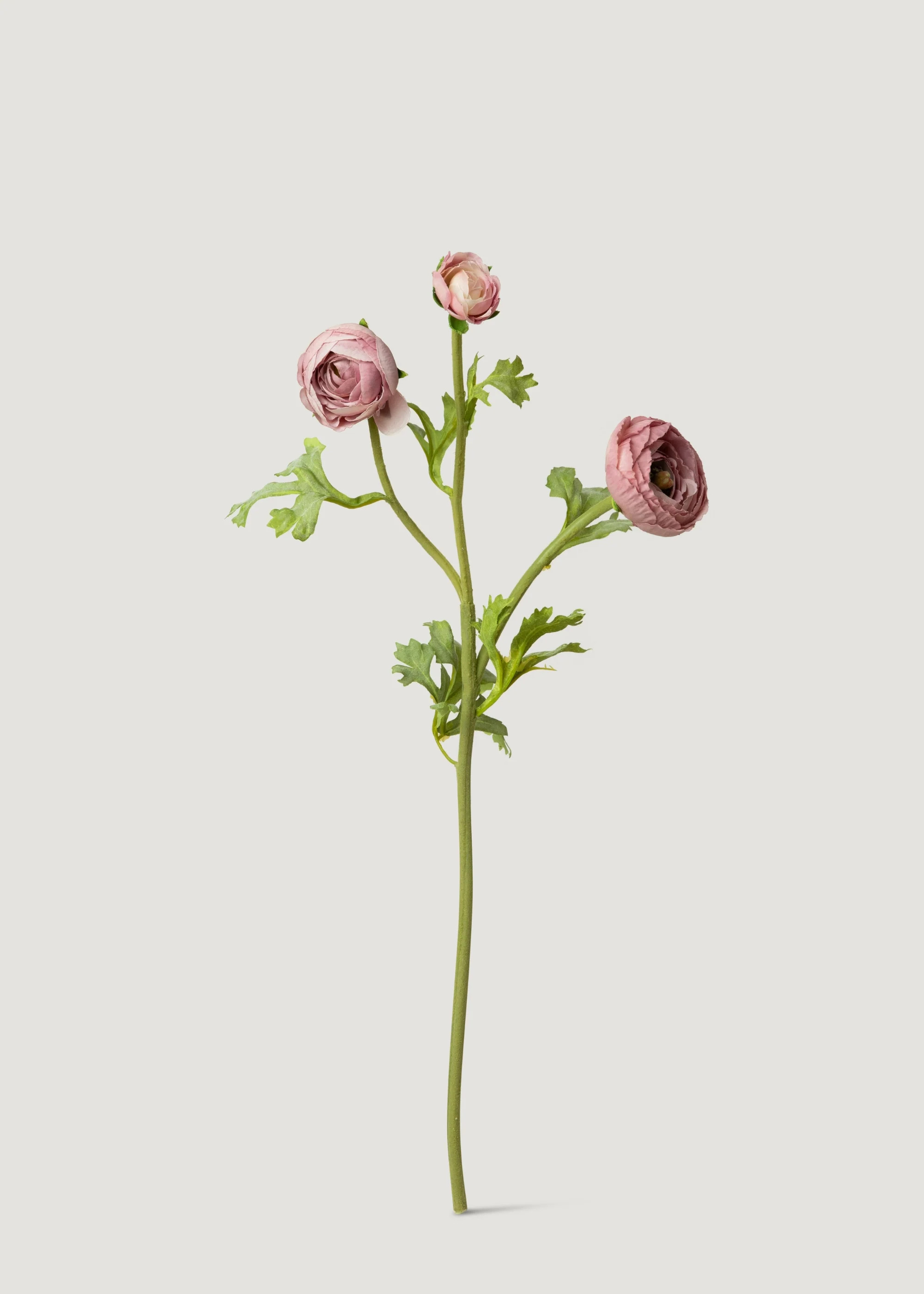 Mauve Real Touch Ranunculus Stem | Elevated Faux Flowers | Afloral | Afloral