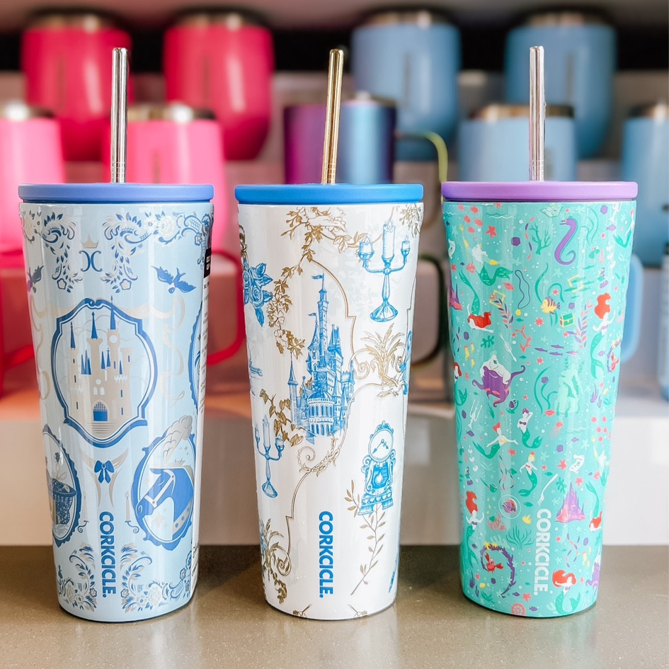 New Corkcicle Disney Princess Cold Cups 

#LTKfamily #LTKhome #LTKGiftGuide