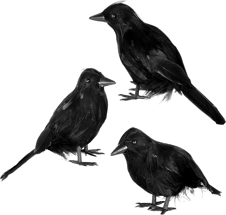 JOYIN Halloween Crow Raven 3Pcs Feather Bird, Black Prop Fake Birds Crows, Halloween Decorations ... | Amazon (US)
