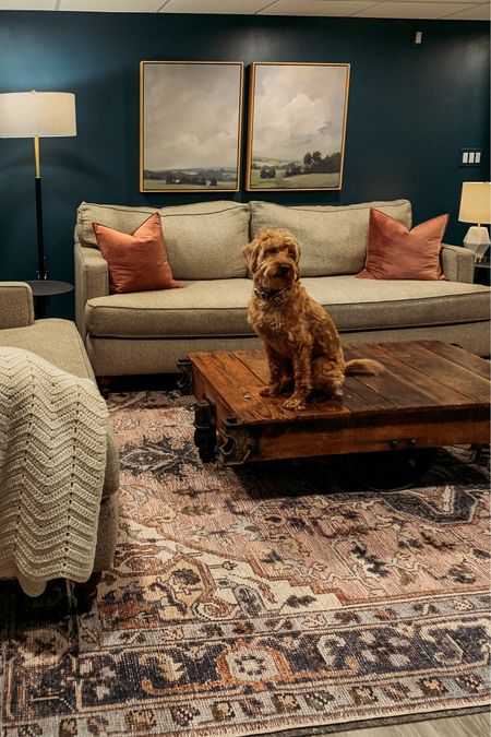 Finished basement moody family lounge room
Pink vintage washable rug, two toned floor lamp, velvet pillow covers, @minted framed canvas art

#LTKunder100 #LTKFind #LTKhome