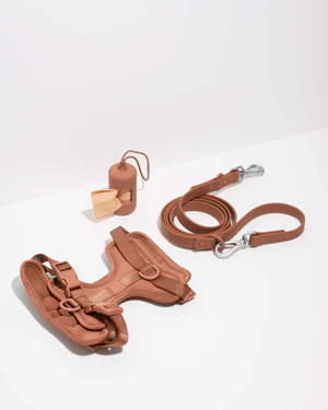 Harness Walk Kit | Dog Harness & Leash Kit | Wild One | Wild One