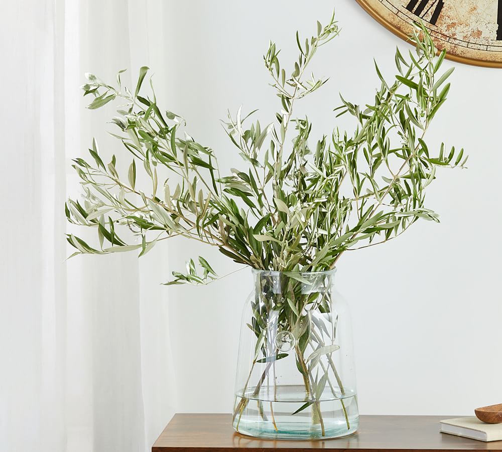 Live Olive Leaves Bunches | Pottery Barn | Pottery Barn (US)