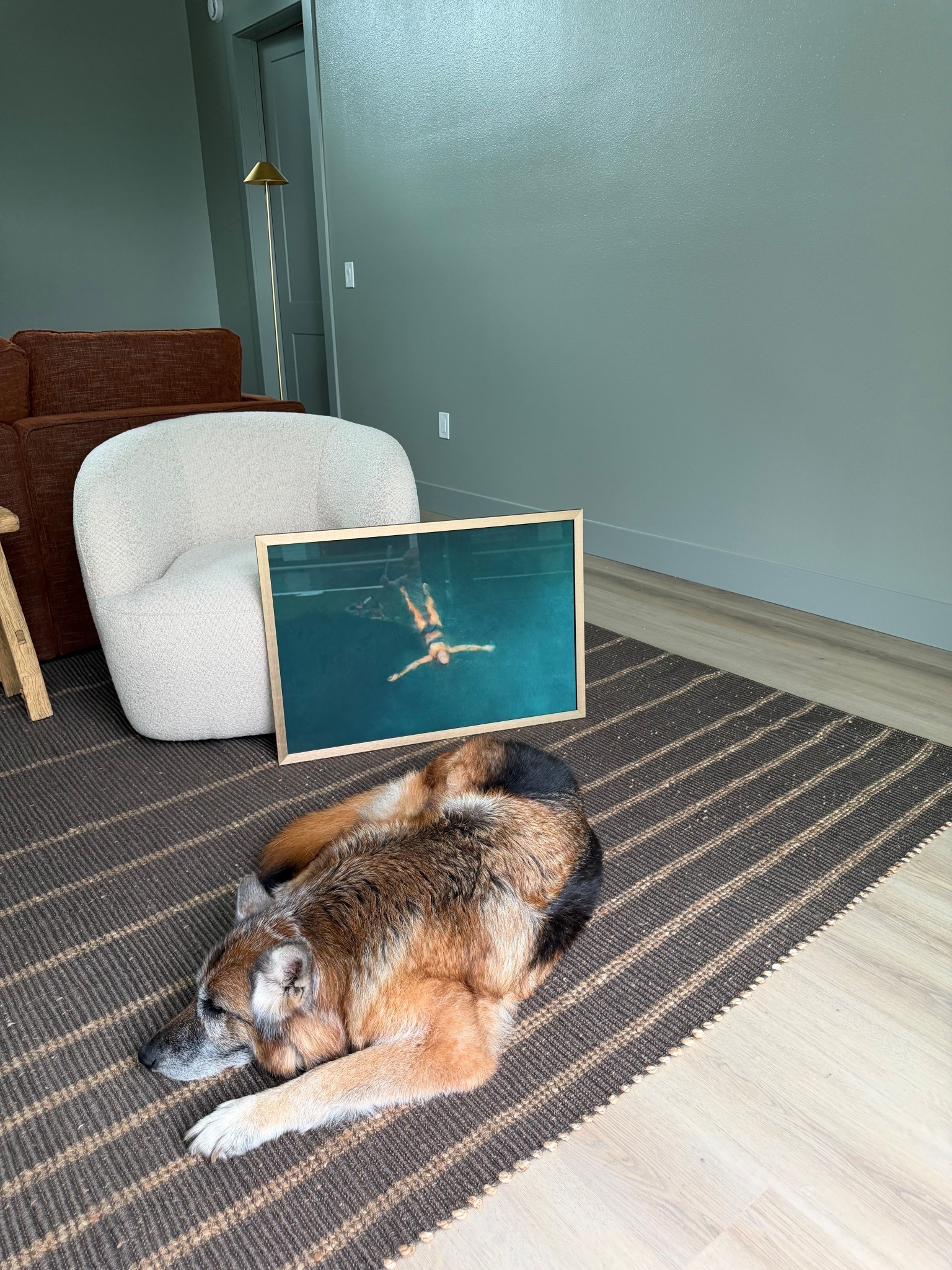 Pool house swim art 
#poolhouse #colordrenching #moodyroom 

#LTKHome