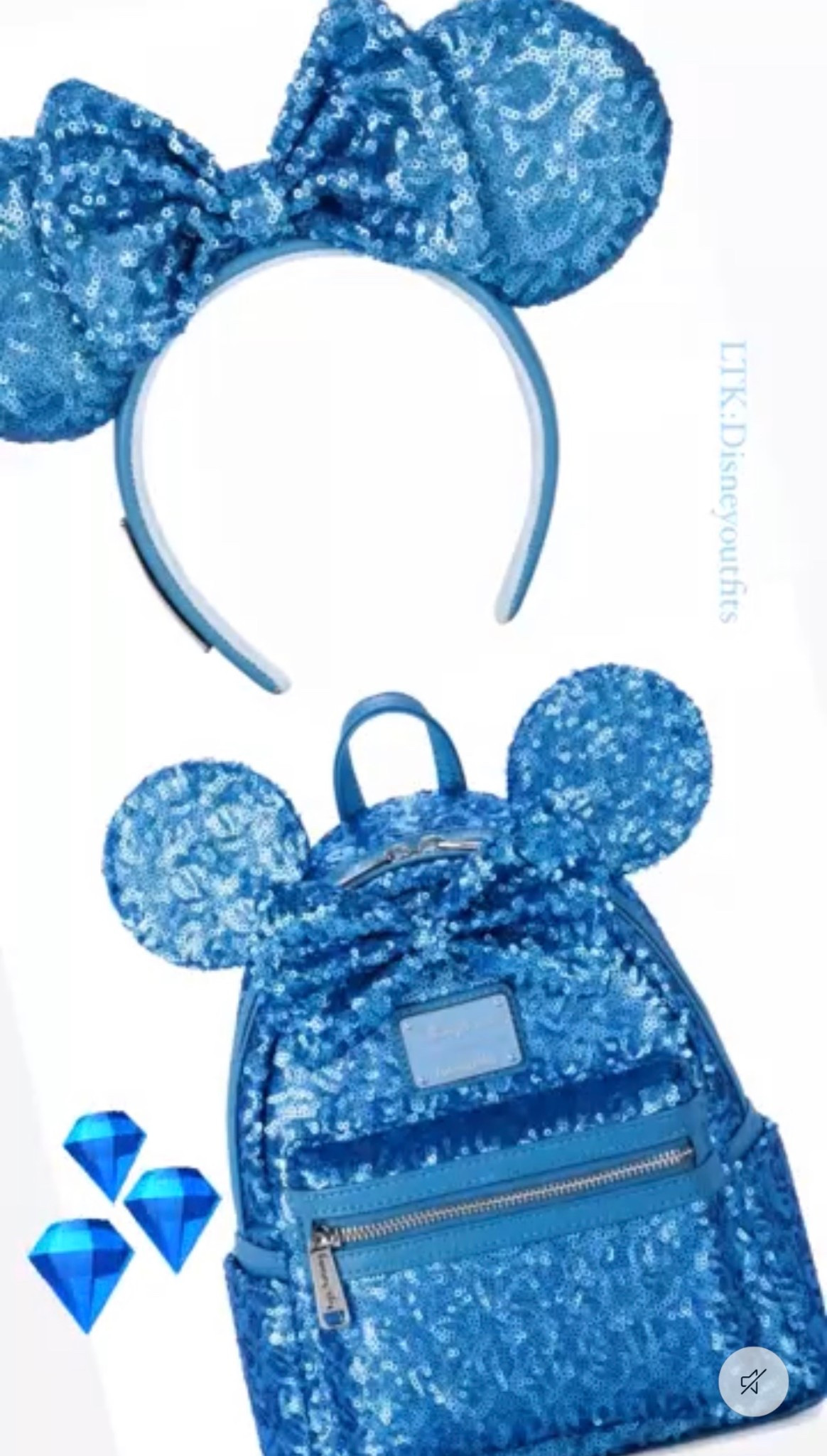 Disney bags and matching ears