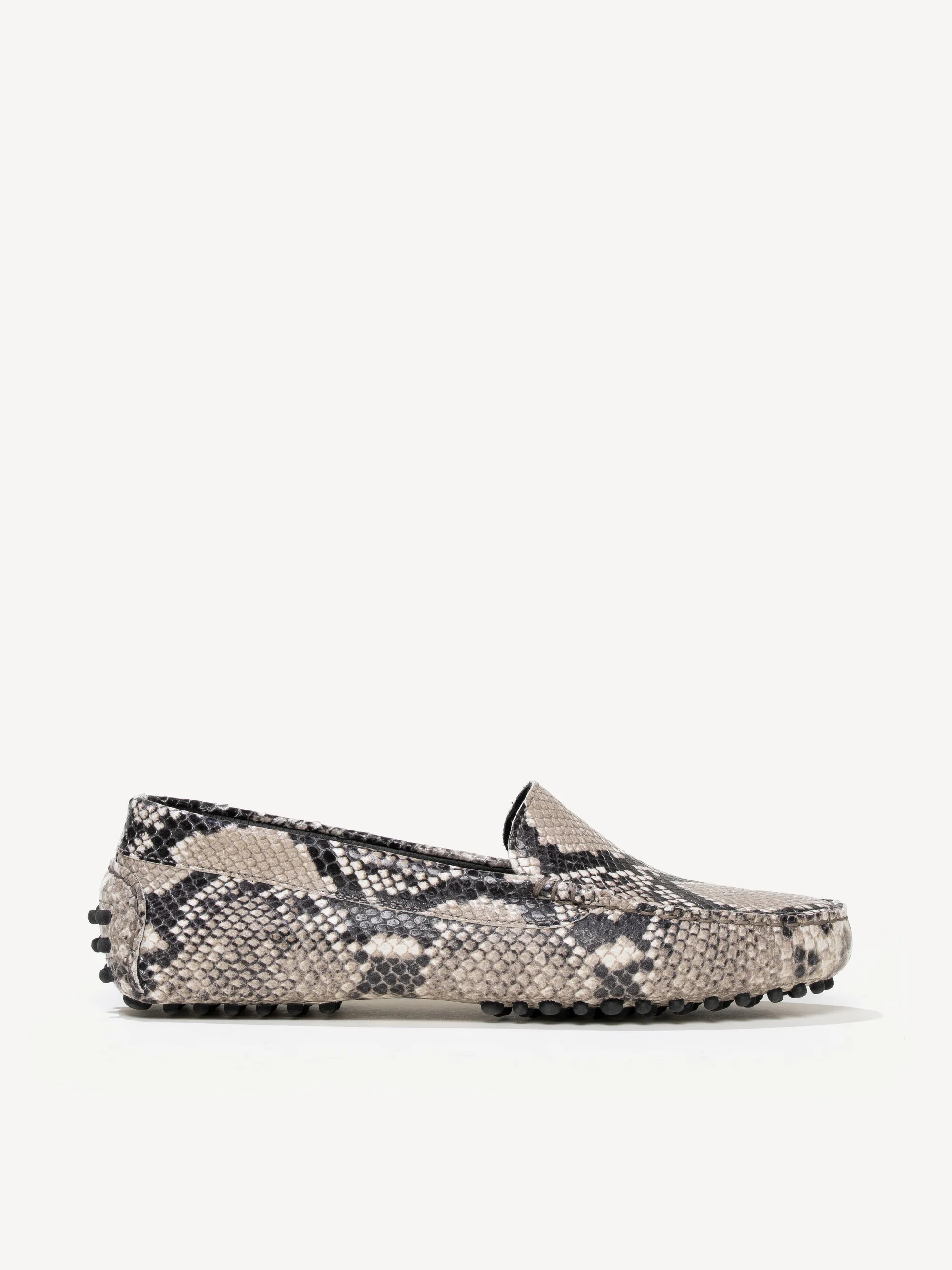 The Felize Python | M.GEMI