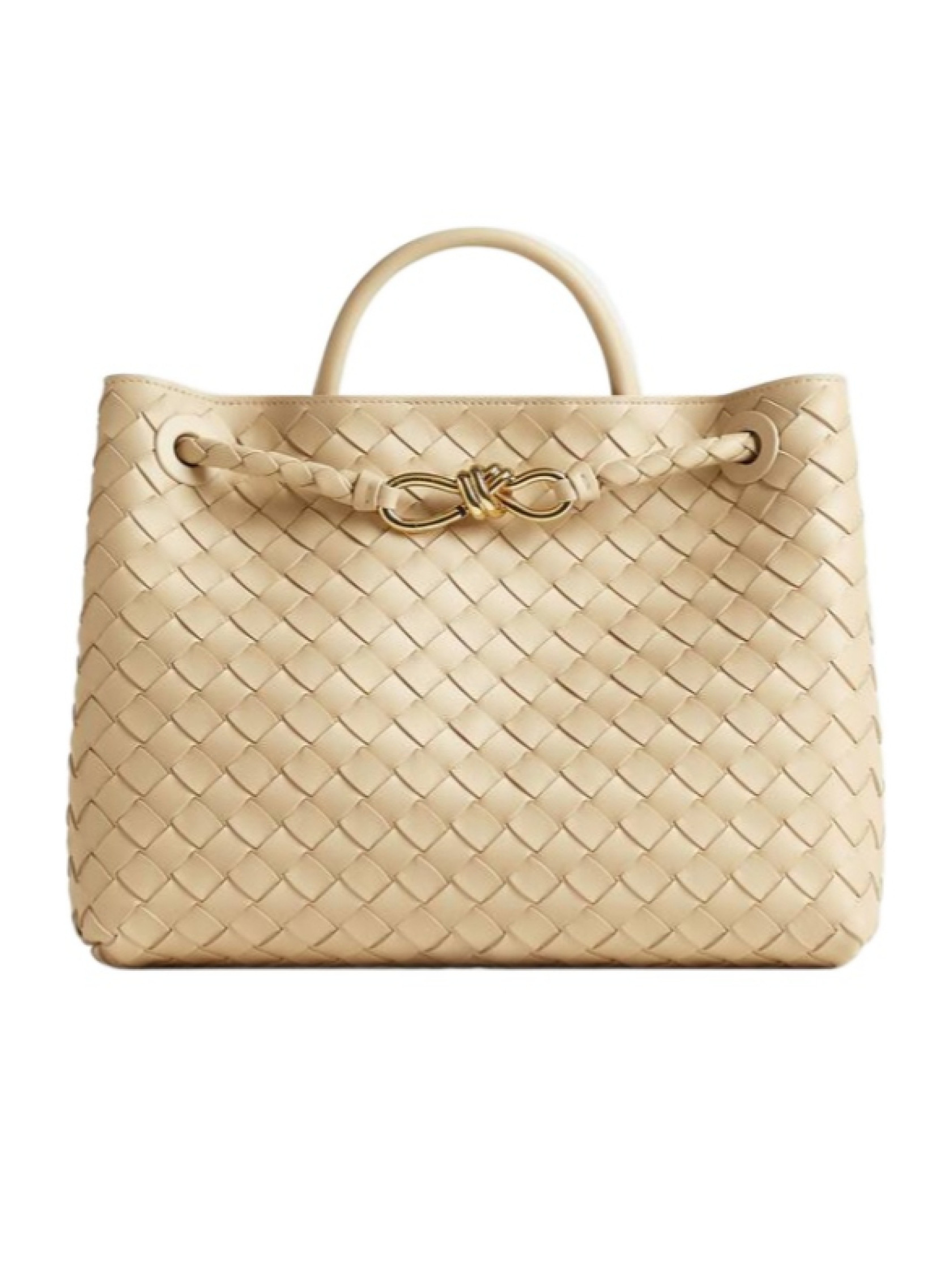 Bottega Veneta Andiamo Medium Top Handle Bag | Senser US