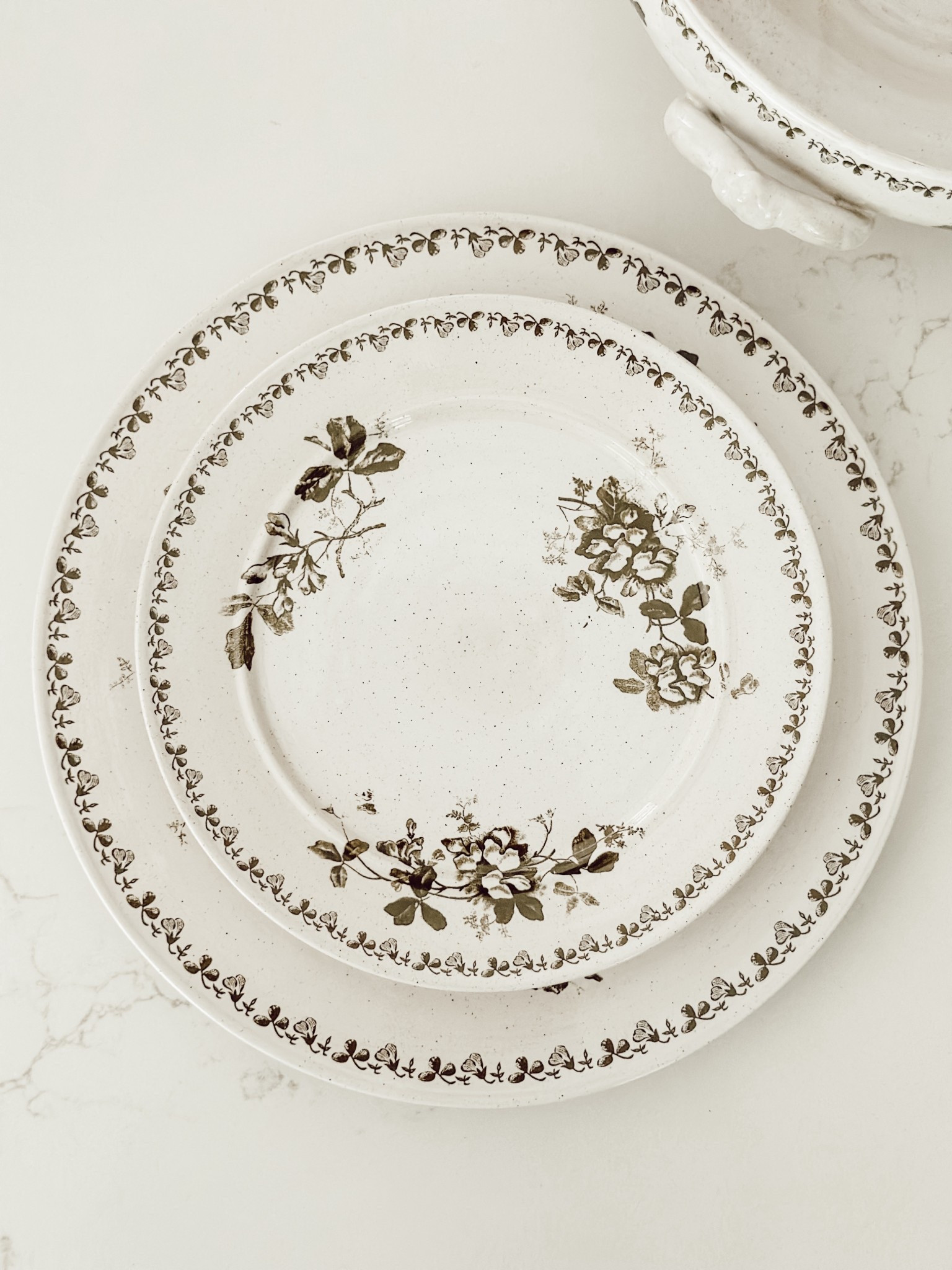 These floral plates are gorgeous!!!

#LTKFindsUnder100 #LTKHome