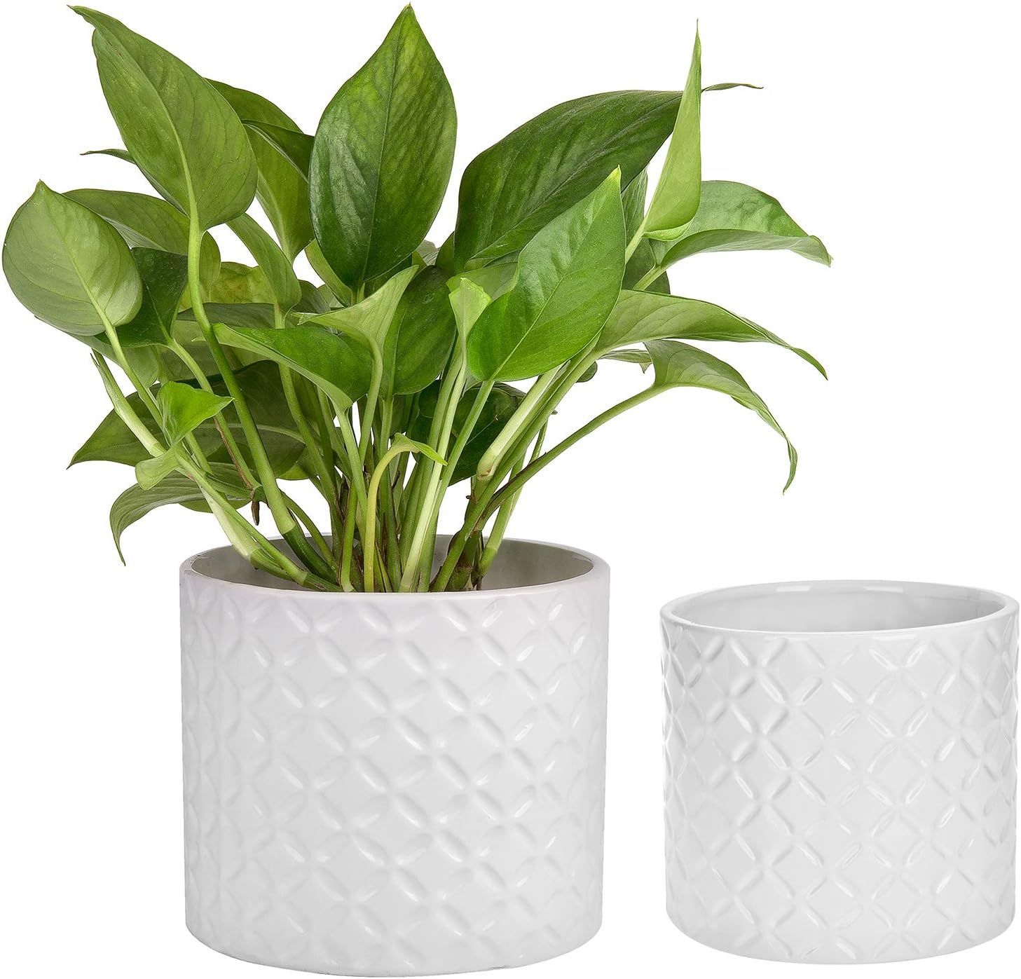 Set of 2 Diamond Textured White Ceramic Round Planter/Flower Pots, 6 inch and 4.7 Inch | Amazon (US)