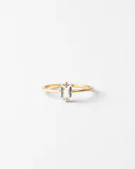 Solid Gold Grand Baguette Ring | GLDN