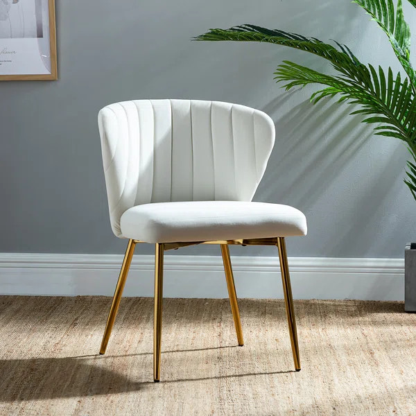 Daulton 20'' Wide Velvet Side Chair | Wayfair North America