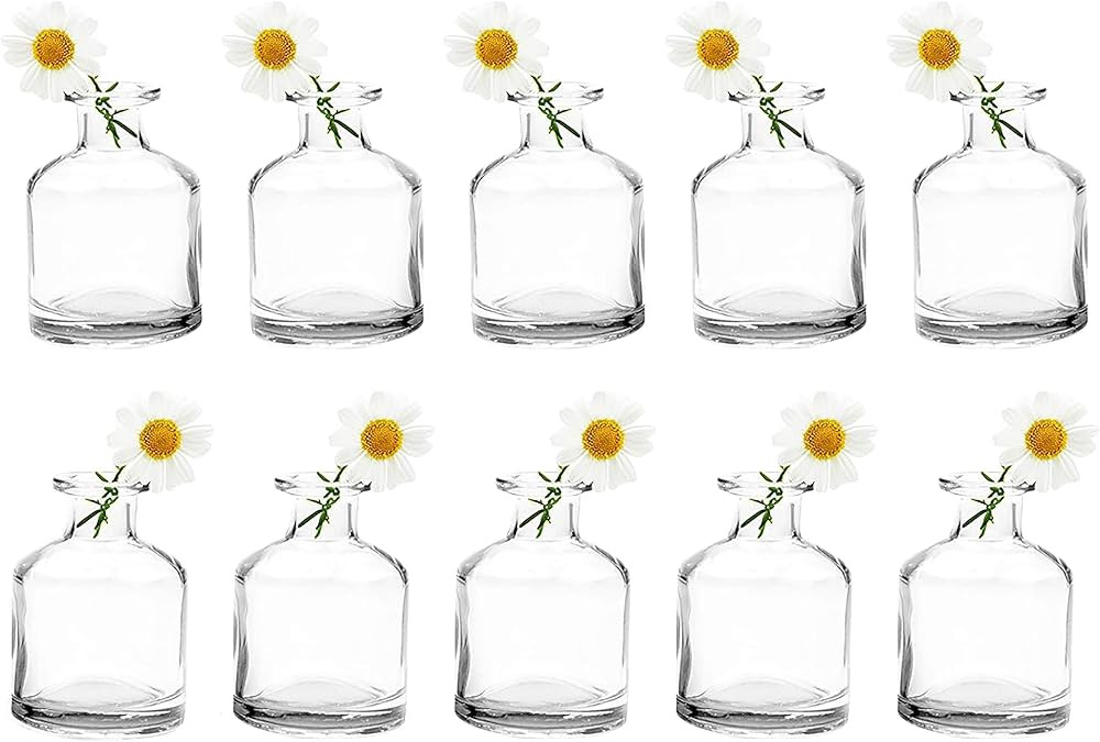 CHIVE ‘Loft’ Small Mini Flower Vases - Clear Glass Bud Vases, Set of 10 - Cute Vintage Rustic... | Amazon (US)