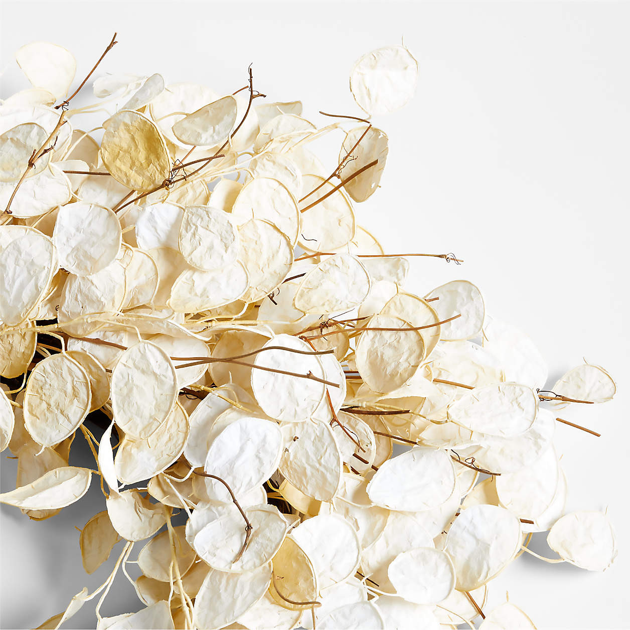 Faux Cream Lunaria Wreath 32" + Reviews | Crate & Barrel | Crate & Barrel