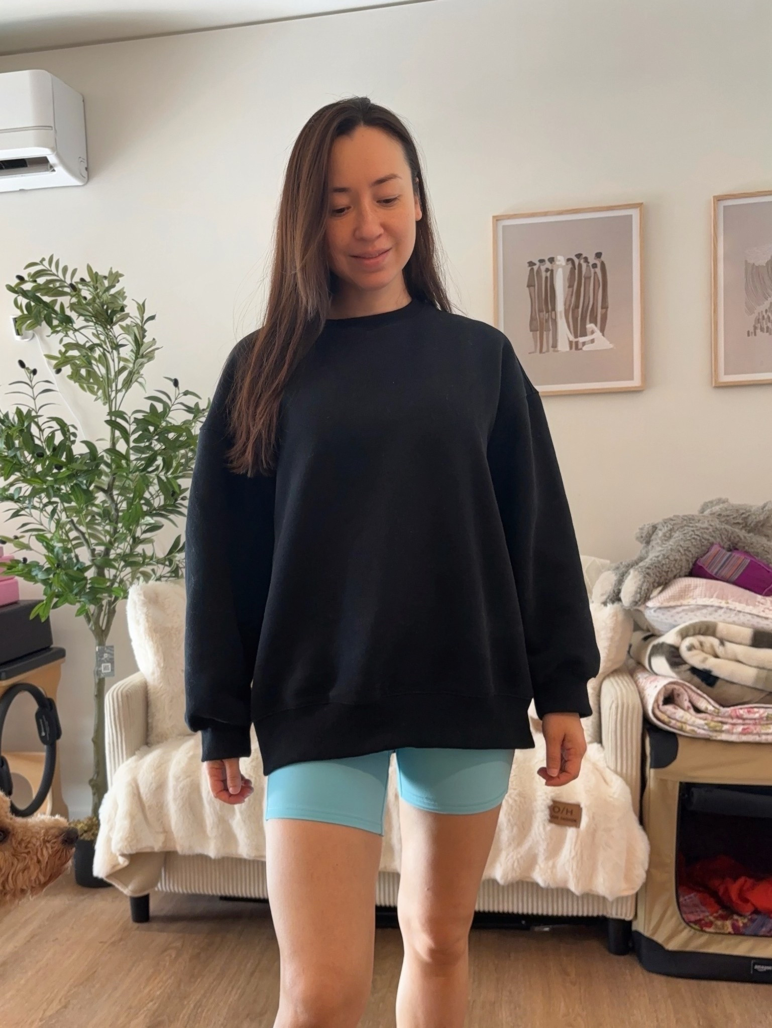 If you’ve been looking for a sweatshirt that actually looks cute oversized — this is it. Super soft, cozy, and the fit is perfectly slouchy without looking sloppy. It’s the easiest throw-on with biker shorts, leggings, or jeans, and it washes really well. I’m wearing Medium for an oversized fit.

You can get this in a variety of colors on Amazon and the price is a steal!  

#LTKActive #LTKTravel #LTKootd