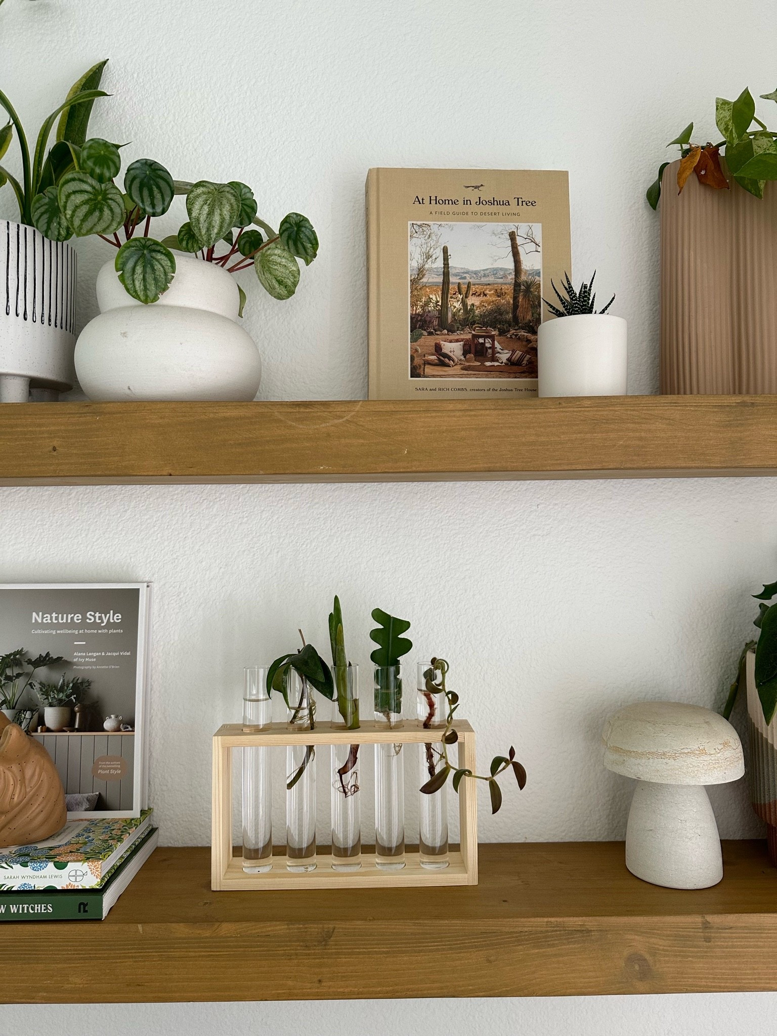 Propagation station on our master bedroom shelves / home decor / boho home style / plant styling 

#LTKFindsUnder50 #LTKHome #LTKFindsUnder100