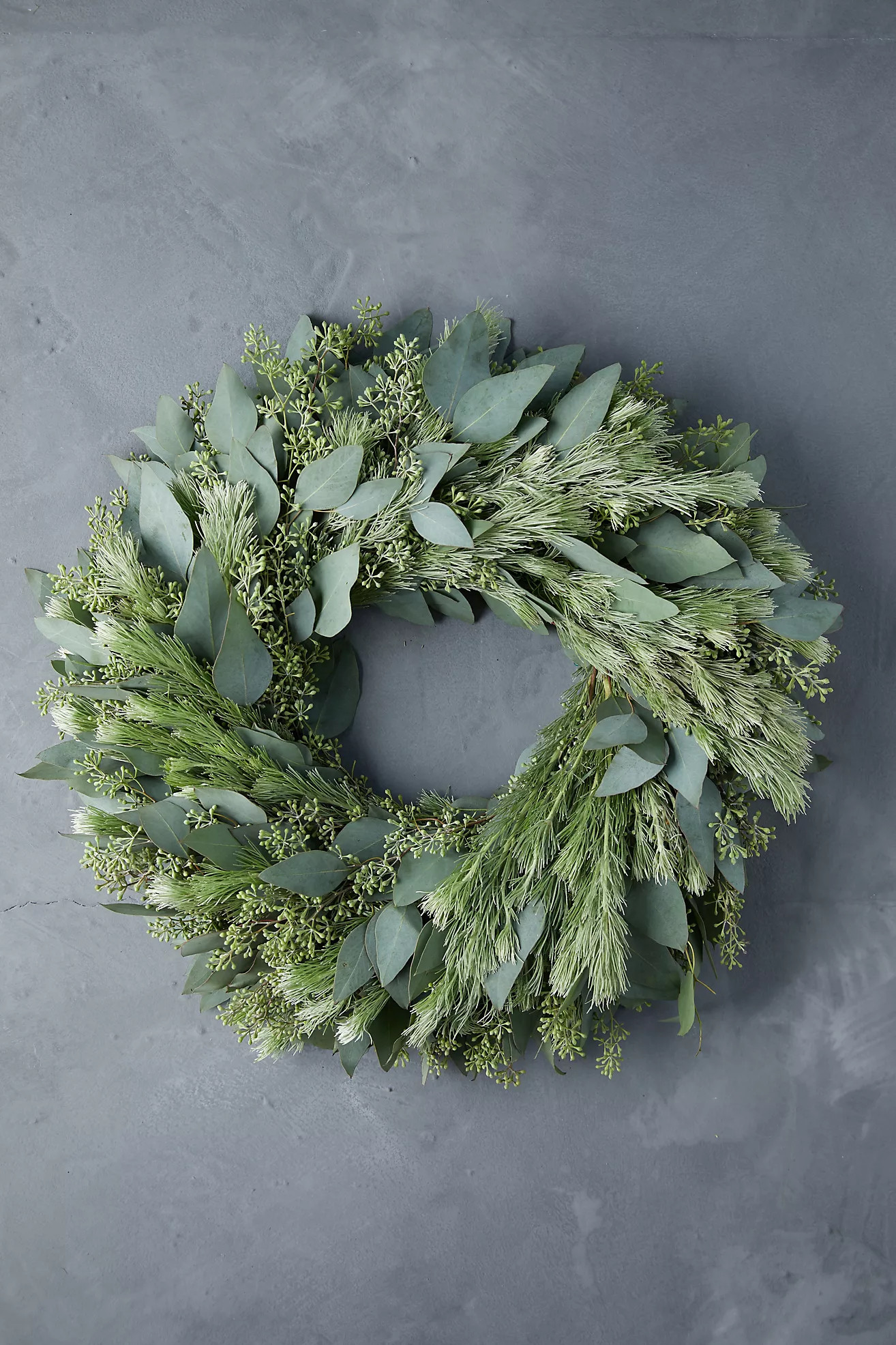 Fresh Seeded Eucalyptus + Woolybush Wreath | Anthropologie (US)