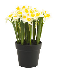 Outdoor Covered Porch Safe Daffodil Drop In Pot | Home | Marshalls | Marshalls