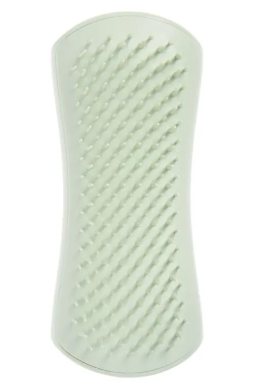 Pet gifts | Nordstrom | Nordstrom