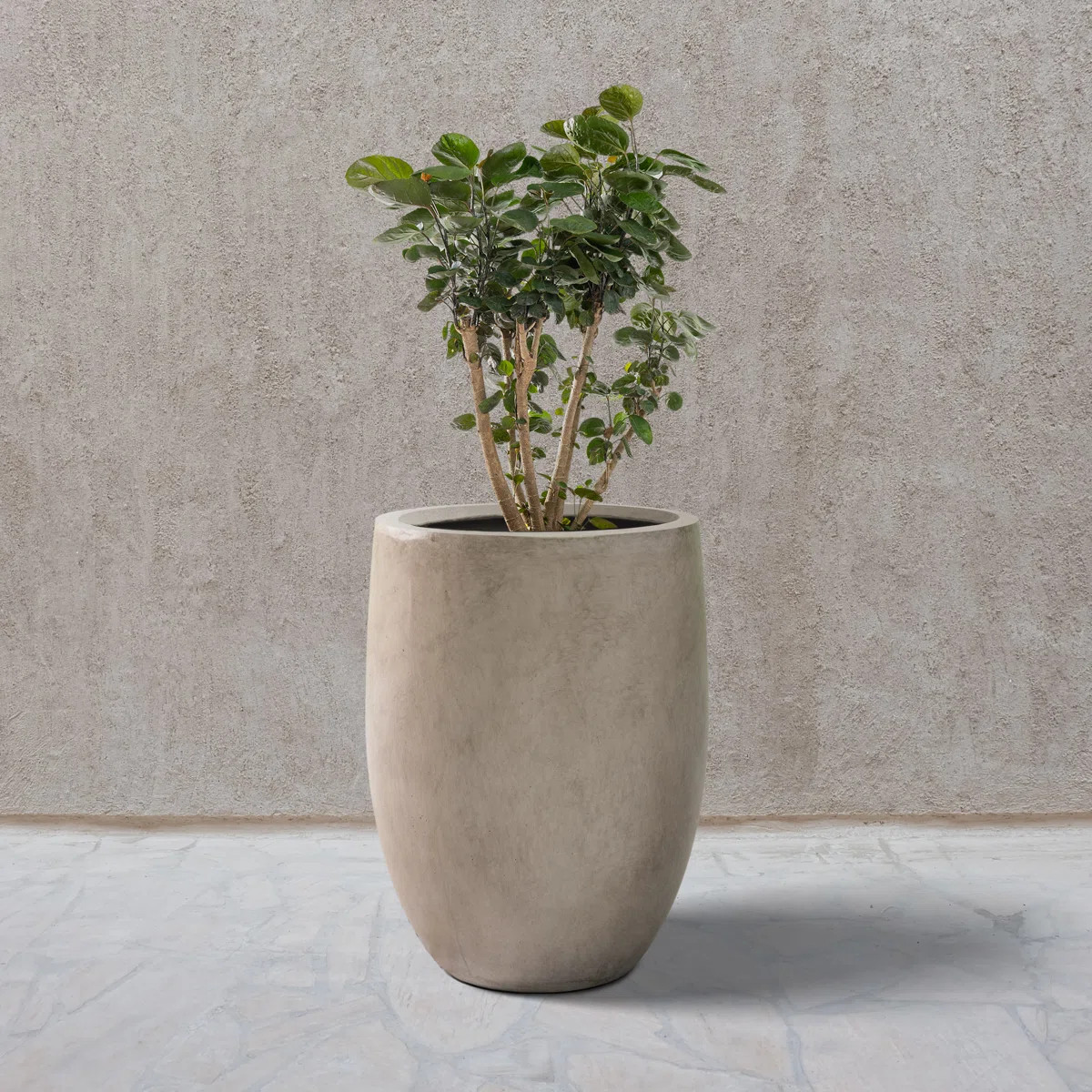 21.7inH Weathered Concrete Tall Planter, Large Outdoor Indoor Decorative Pot with Drainage Hole a... | Wayfair North America