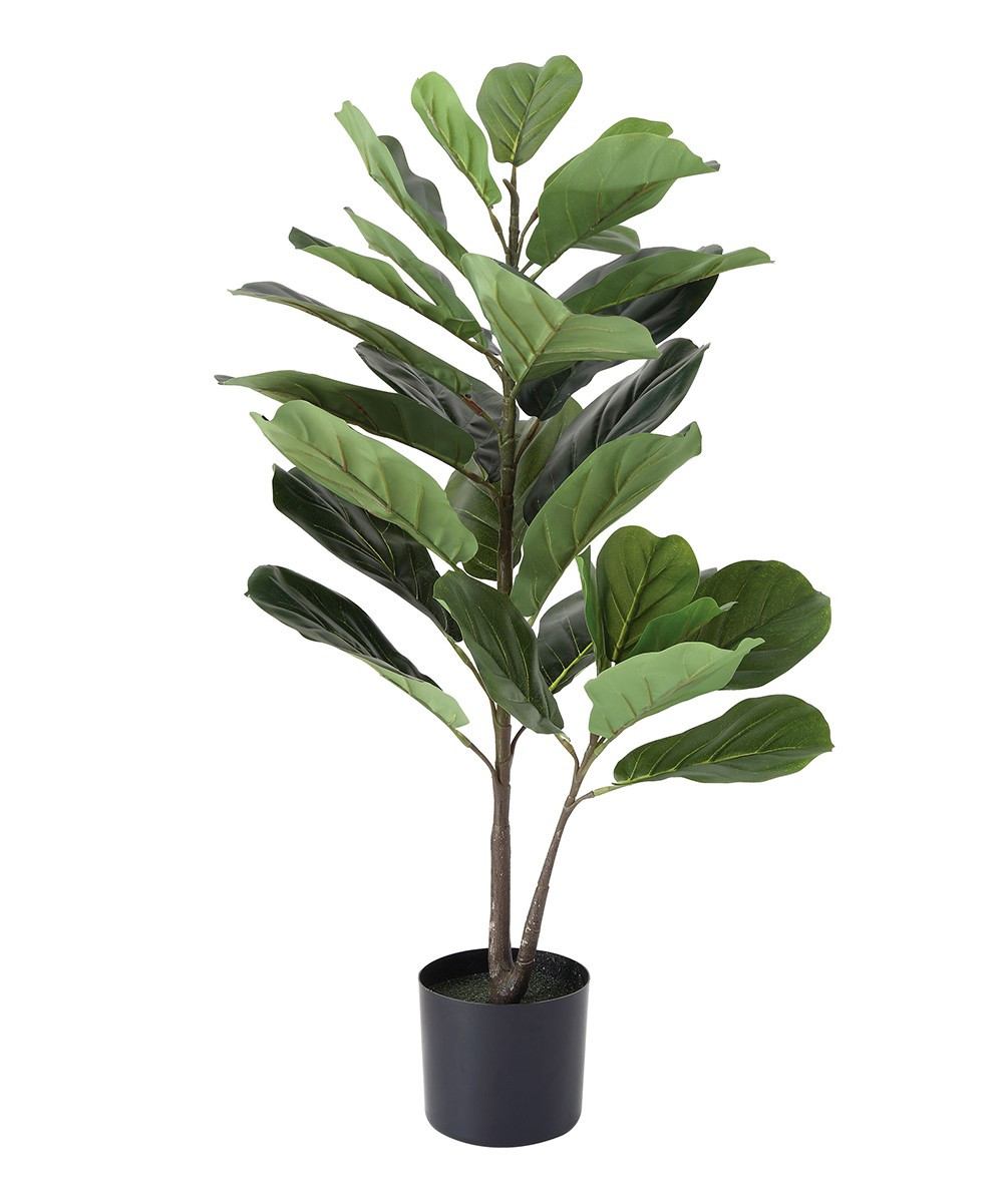 Creative Co-Op Floral Green - Green & Black Potted Faux Fiddle Fig Leaf Arrangement | Zulily