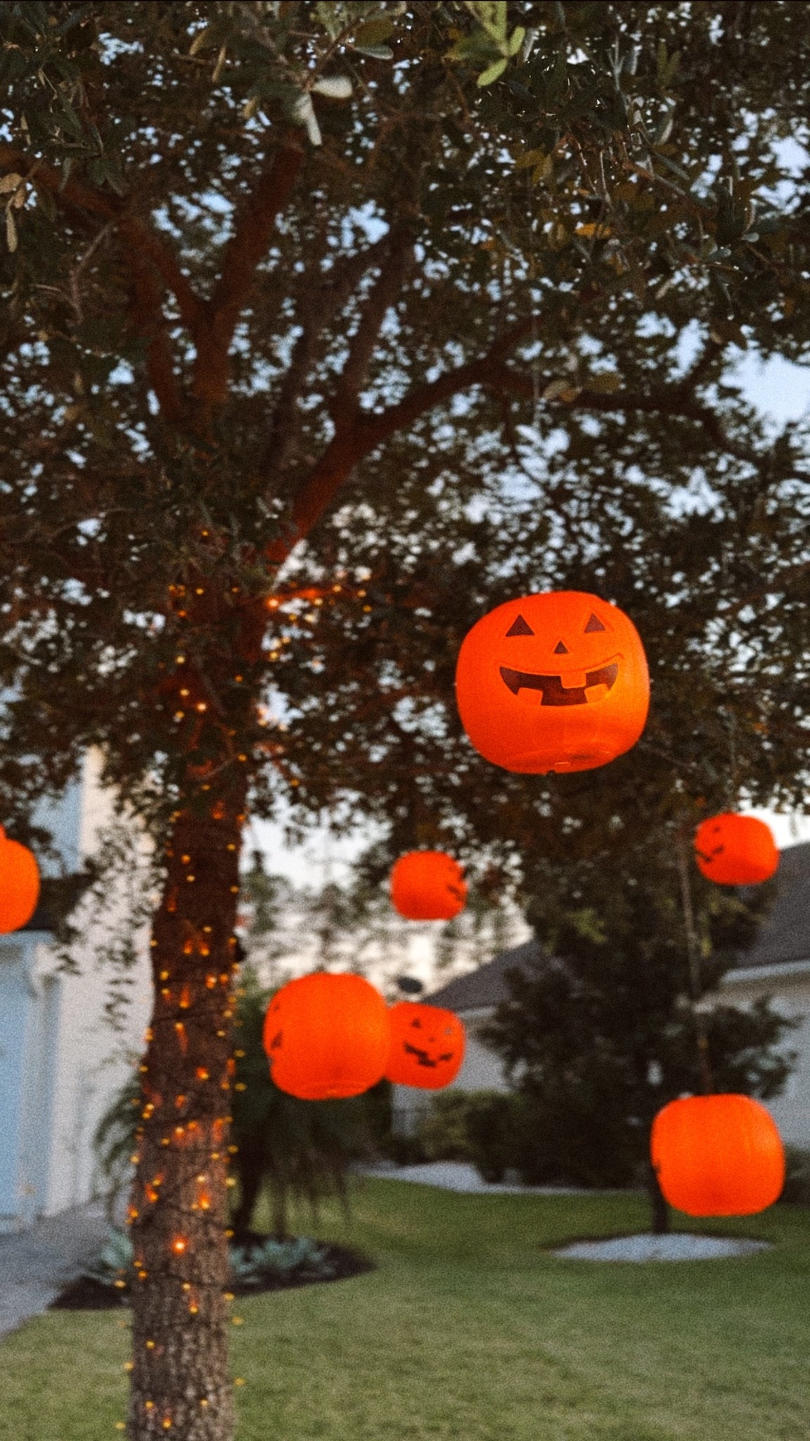 Inexpensive Halloween decor with big impact!