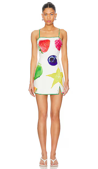 Fruit Basket Dress in Fruit Basket | Revolve Clothing (Global)