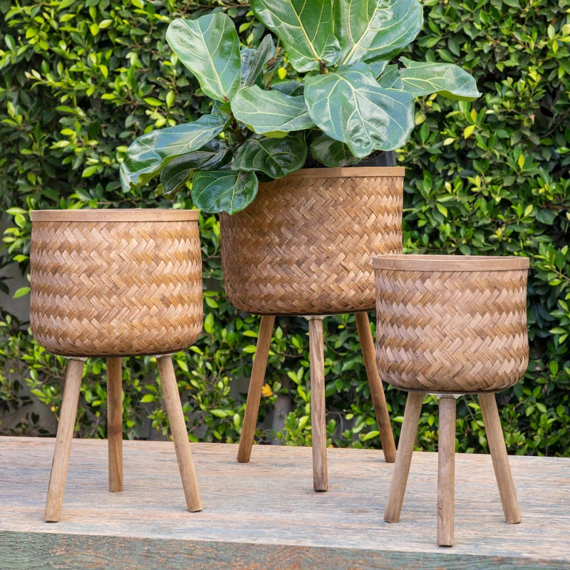 Beachcrest Home™ Neutral Boho Wicker Planter Stand Set, Versatile Indoor Garden Decor & Reviews... | Wayfair North America