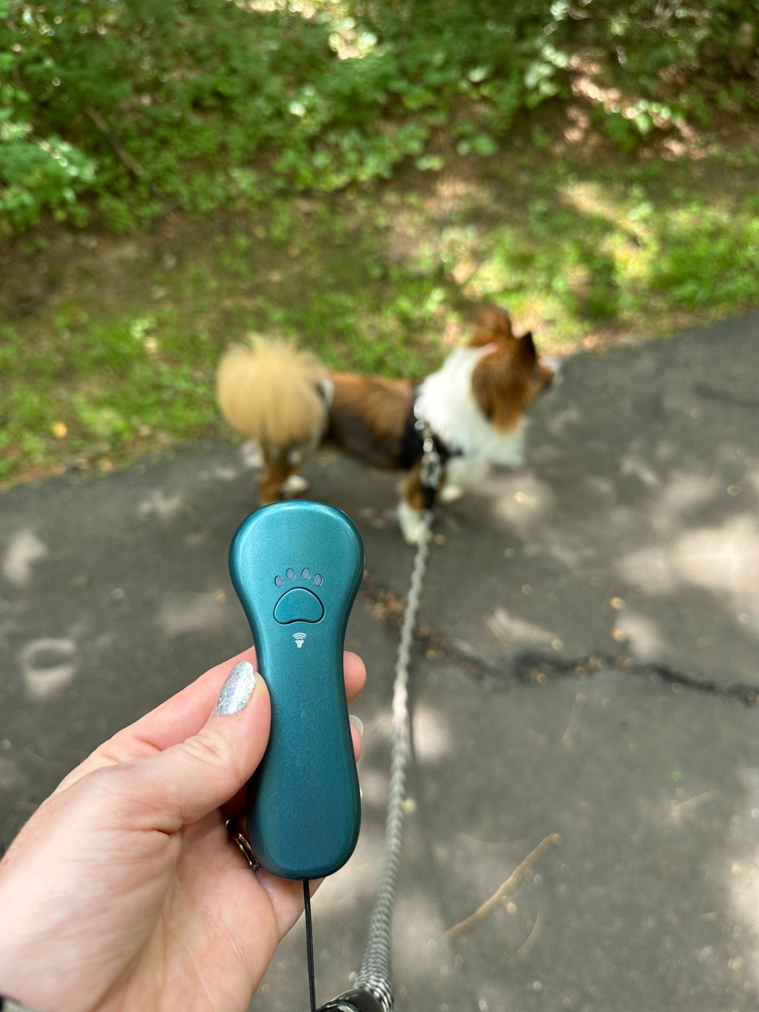 Anti bark device that I am loving ! The blue is only $19.99 today! 



#LTKPets #LTKFindsUnder50